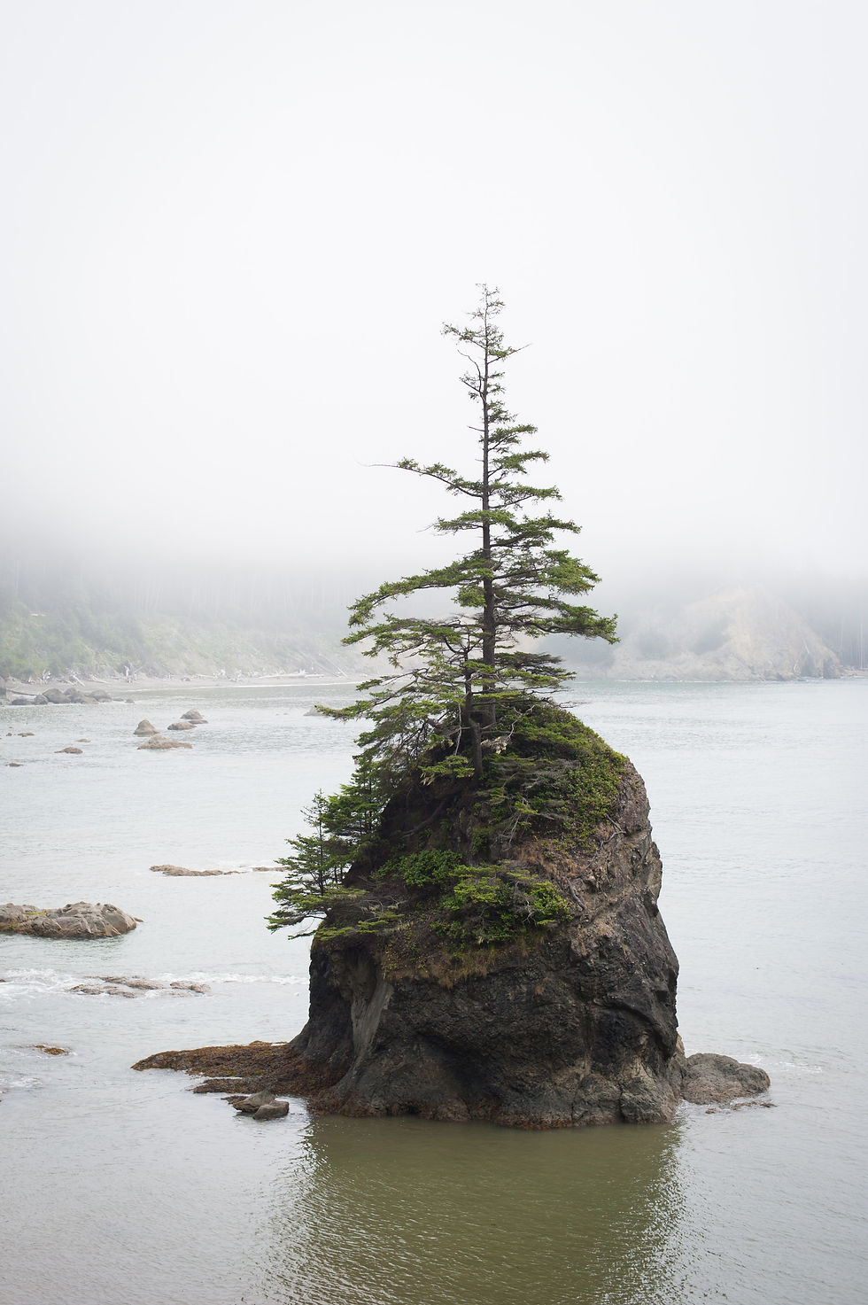 Image by Barrie Johnson
