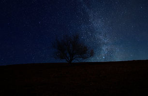 Image by Marlon Nartea