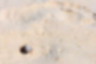 Image by N Band