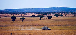 3 day safari from Zanzibar Tarangire Ngorongoro Manyara fly in Tanzania safari experience