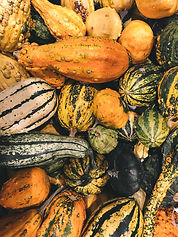 Squash for food
