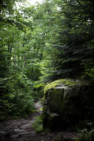 Image by William Daigneault