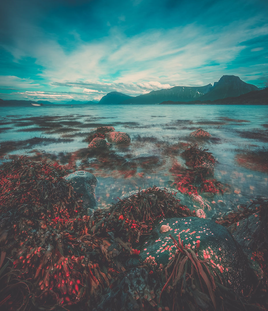 Image by 🇸🇮 Janko Ferlič