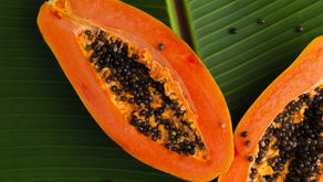¿Mi perro puede comer Papaya?