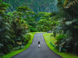 Que faire à Tahiti ? Le guide complet des activités incontournables