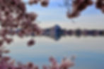 Image by R M