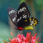 Image by David Clode