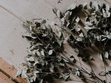 Comparison Kills, Contentment Breeds Life