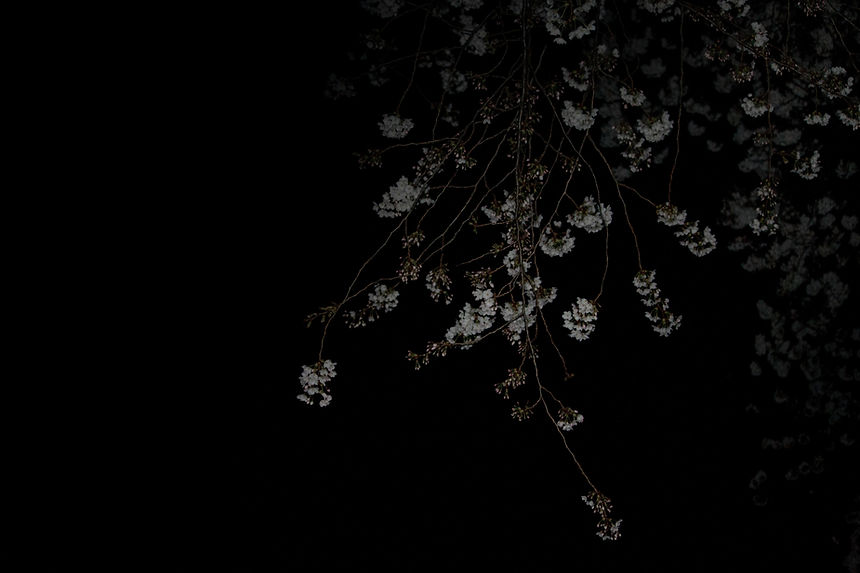 Image by TOMOKO UJI