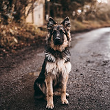 Image by Marcus Cramer