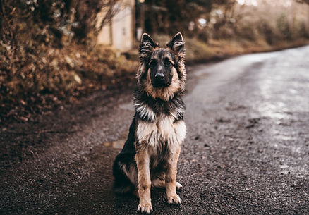 Image by Marcus Cramer