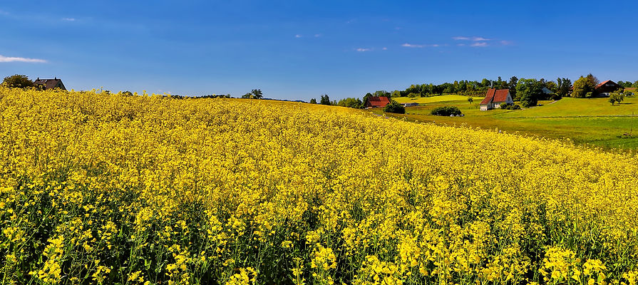 Image by Ricardo Gomez Angel