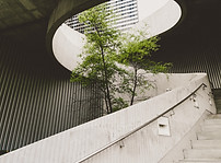 Image by Alexander Abero