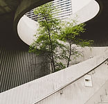 Image by Alexander Abero