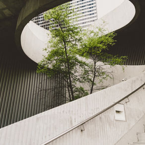 Identifying Sustainable Opportunities in the Construction Industry