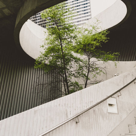 Sustainability 101