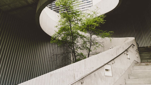 Why Sustainable Office Fit-Outs and Refurbishments Are the Future of Corporate Spaces