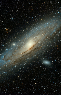 Image by Guillermo Ferla