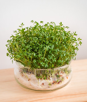 Image de Karolina Kołodziejczak