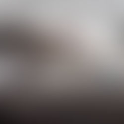 A Letter to a Reader [Far From the Last]