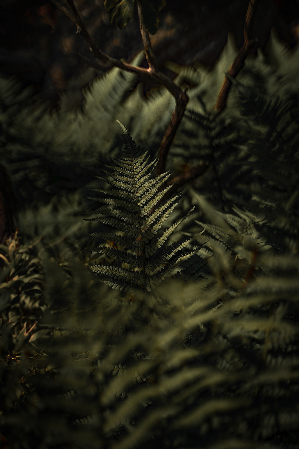 Image by Leandra Rieger