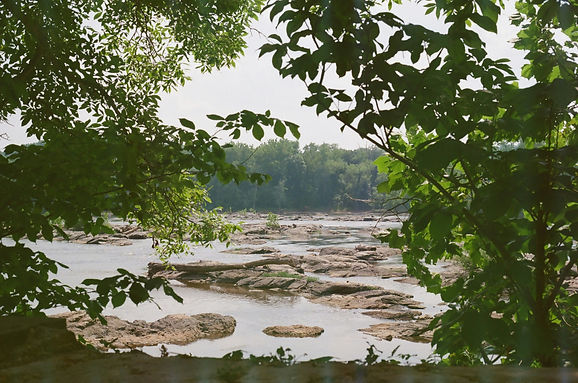 Image by Alex Korolkoff