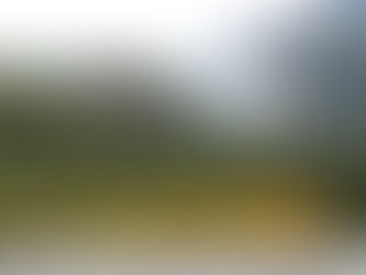 Roadless Rule Rollback: What It Could Mean for Alaska Manufacturers