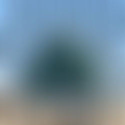 Risala o Džibrilovom pojavljivanju u ljudskom liku autora Abdulaha Bošnjaka