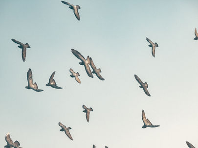 Dankesschreiben der Stiftung Bildung