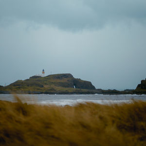 The Swimmer: Sonic Poem (2025)