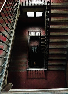 Image by Estela Romero