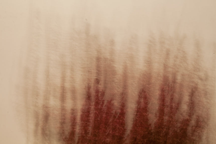 Image by Laura Del Debbio