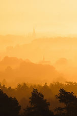 Image by Ingmar H