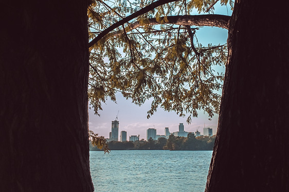 Image by Christian Vasile