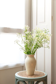 Image by Elena Kloppenburg