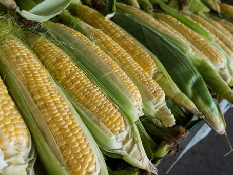 Tidbits, Q&A: Corn Prices, Weather Outlook, Beans Demand, Export Sales 7/19/24