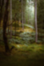 Image by Illiya Vjestica