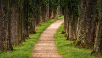 The Path to Self-Trust: Learning to Walk My Own Way