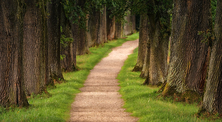 An image of a pathway leading towards a brighter horizon. This symbolizes the journey of overcoming financial difficulties and moving towards financial stability after a job loss.