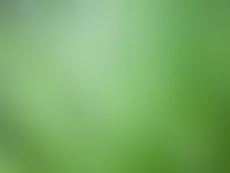 The Perfect Green Patch
