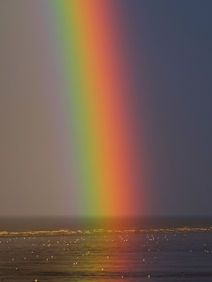 Image by Zoltan Tasi