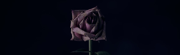 Image by Sharon McCutcheon