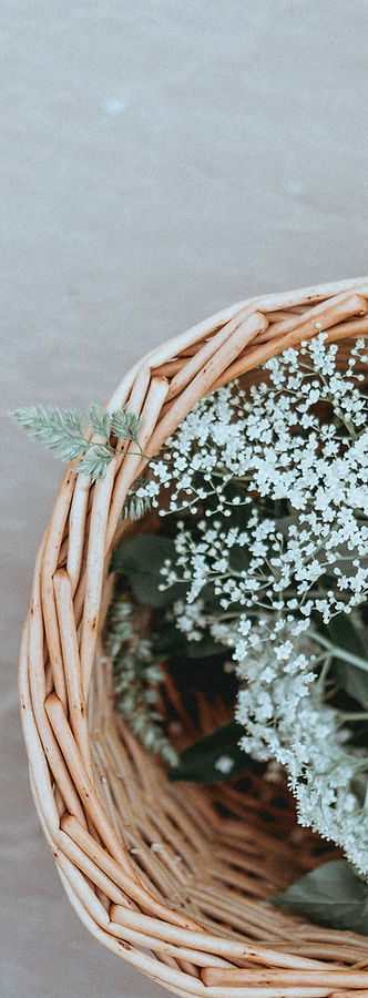 Image by Annie Spratt