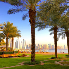 Safa Park in Dubai, landmark 2 on our virtual Dubai 10km run