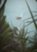 Image by Haythem Gataa