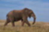 Image by Wolfgang Hasselmann