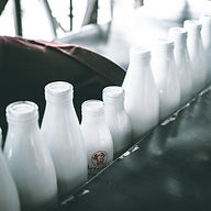 Image by Mehrshad Rajabi