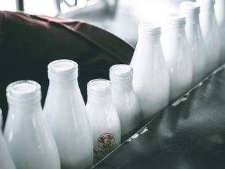 "Horse Milk +1"