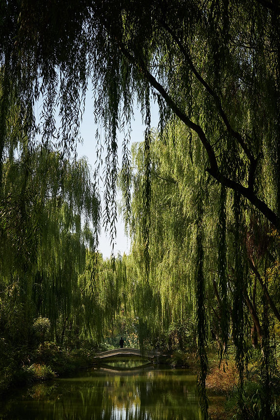 Image by Hendrik Will