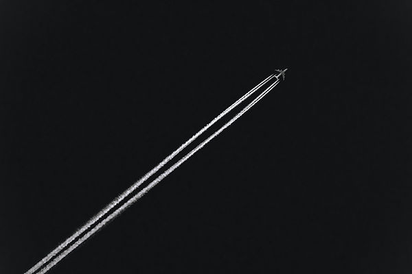 Image by Joel & Jasmin Førestbird